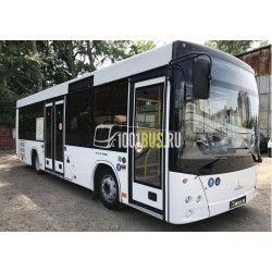 Автобус МАЗ 206